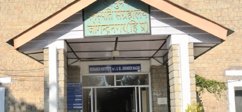 himachal will train six state for medicinal farming