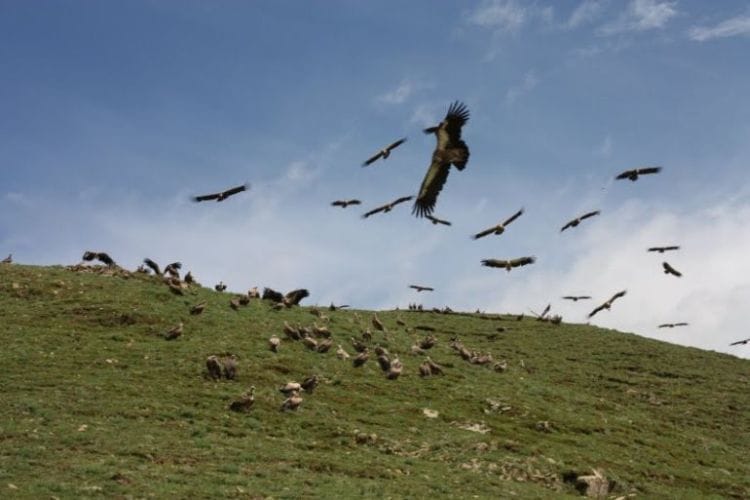 these 4 religious practices from around the world that will shock you