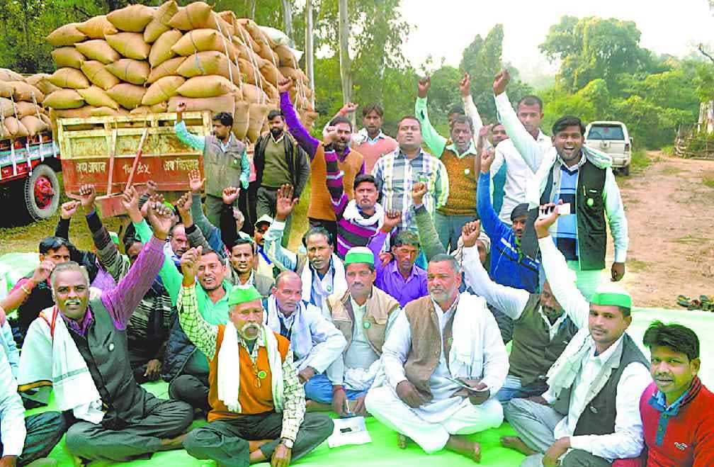 Farmers put dera with rice laden trolley