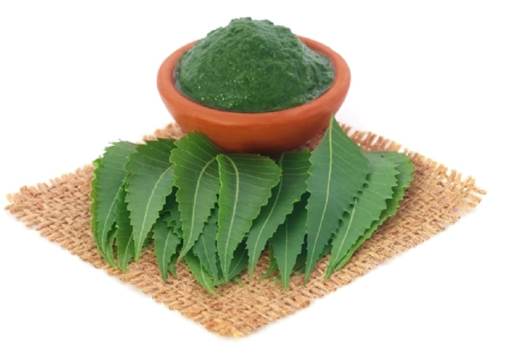 Neem not only help to enhance the beauty of face but also nourishes the hair