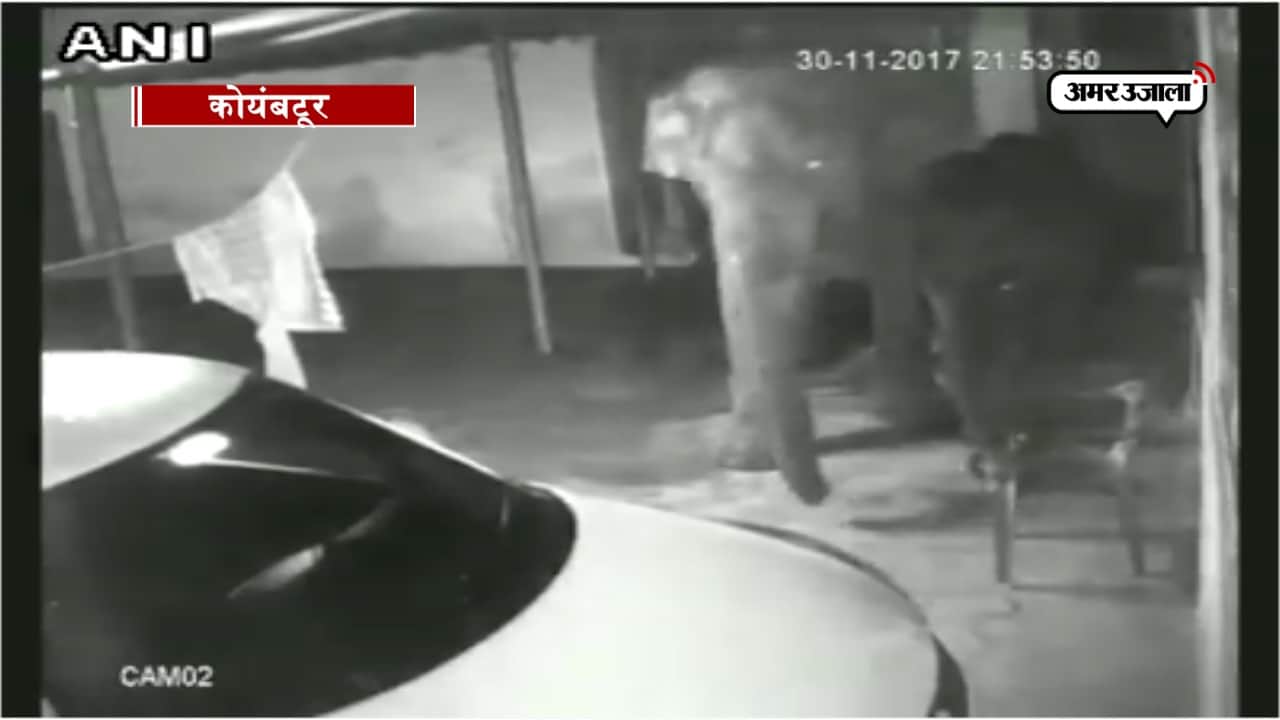 सीसीटीवी, हाथी 