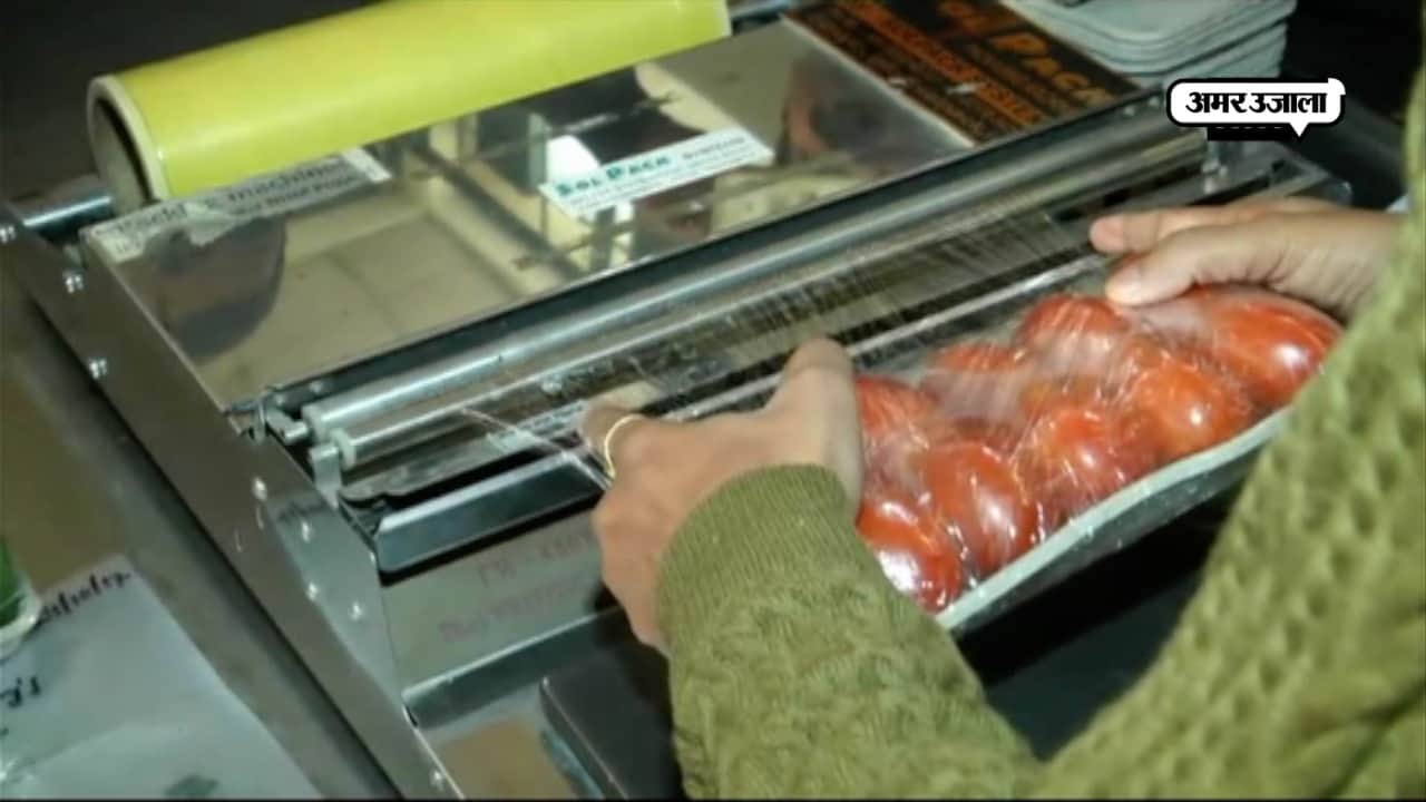 सब्जियां