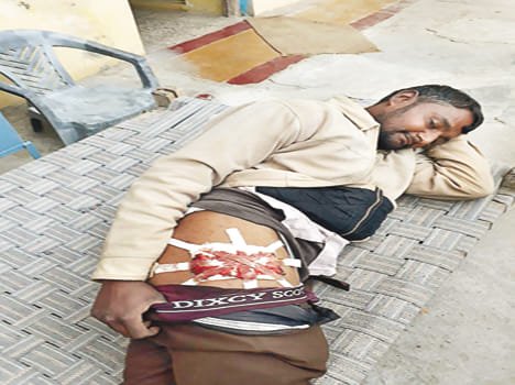 The thieves stabbed the farmer, guarding the farm
