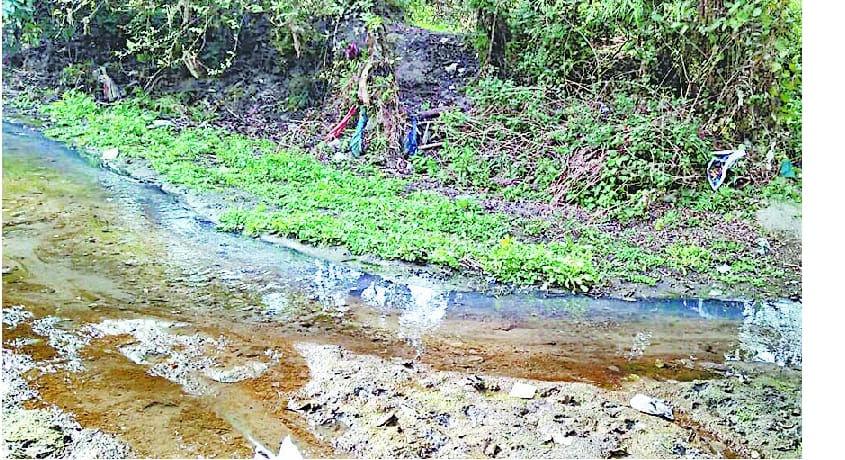 सरयाली और दुग खड्ड में मिल रही शहर की गंदगी