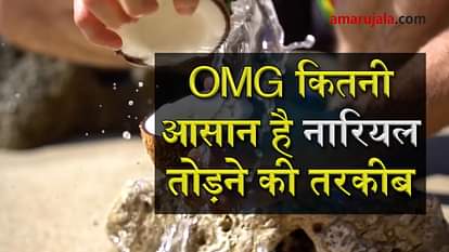 How To Open Coconuts Without Any Tools special story
