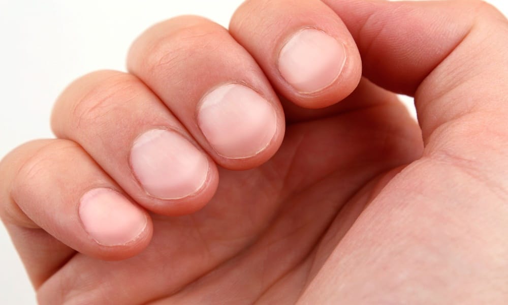 according to palmistry know about your luck and future by nails shape and size