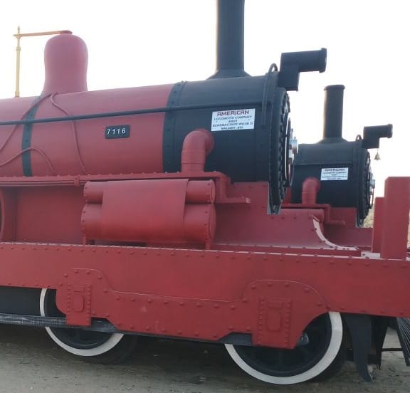 royal wedding in jaisalmer, made a special train for guests