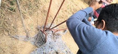 leopard trapped in kala amb sirmour