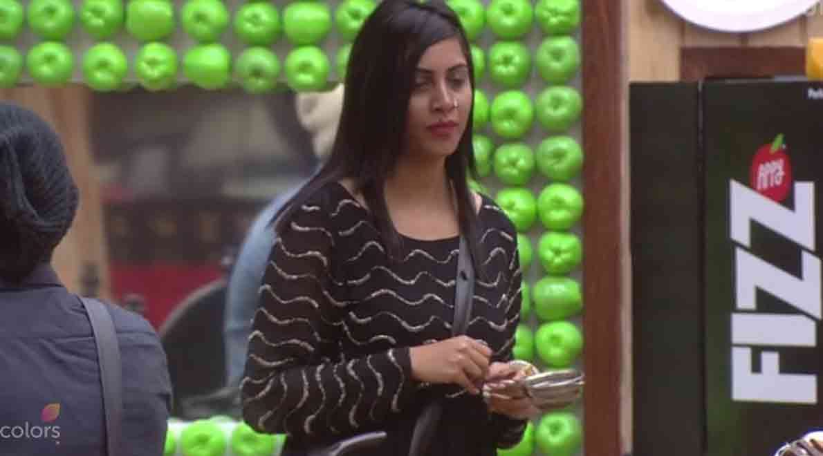 bigg boss 11 arshi khan dont know the national anthem of india