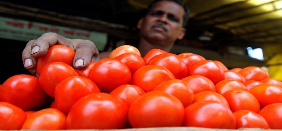 onions tomatoes price will go down in next 10 to 15 days