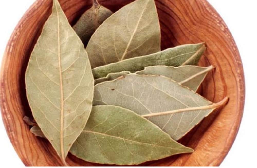 home remedies will kill roaches in home