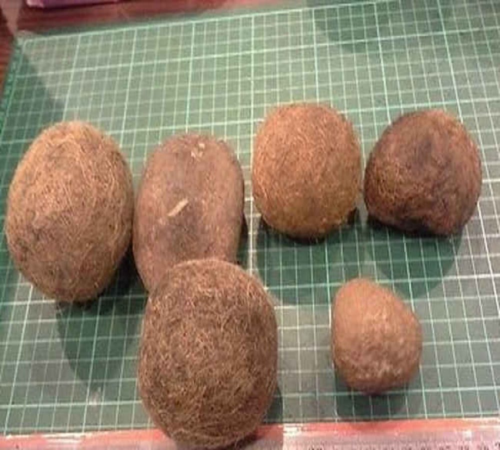 A man found Millionaire making stone from pig stomach at china