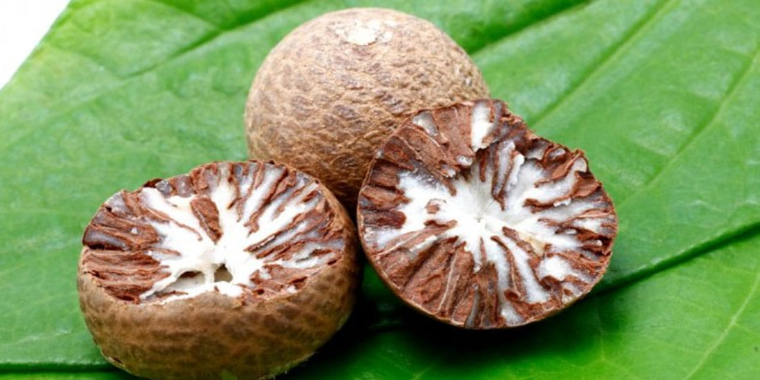 police caught Areca nut without paan in kanpur