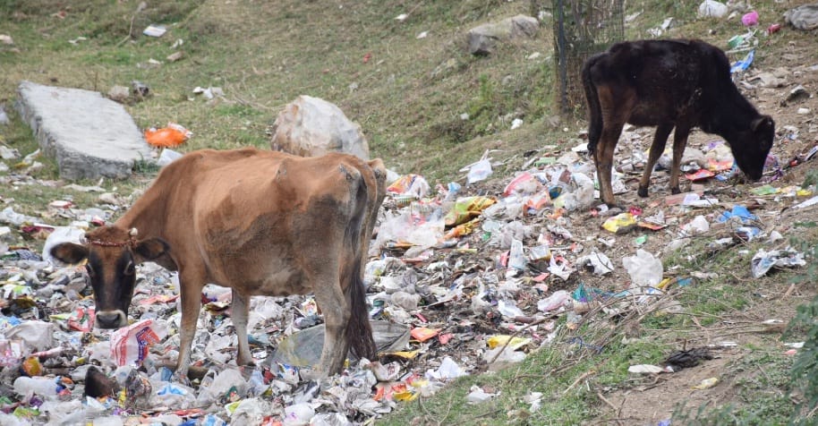 City becomes garbage point due to three day leave
