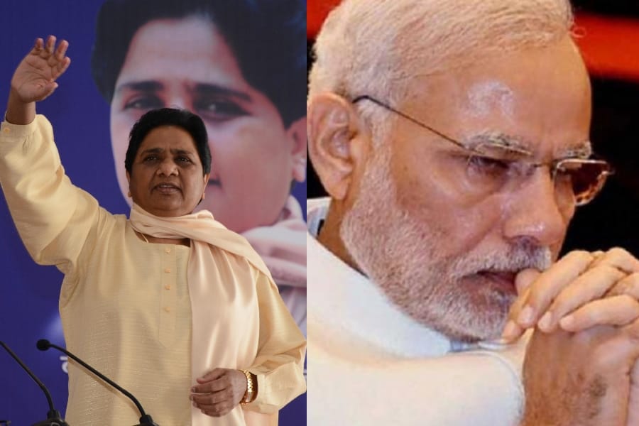 mayawati targeted modi on gujrat election
