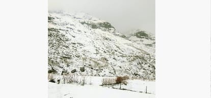 weather in himachal remain clear for next four days