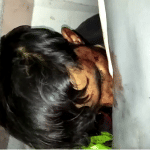 गो—तस्कर