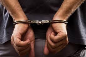 7 arrested