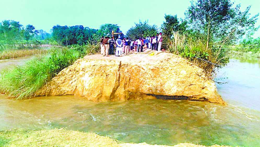Canal cut, one thousand bigha crop steep