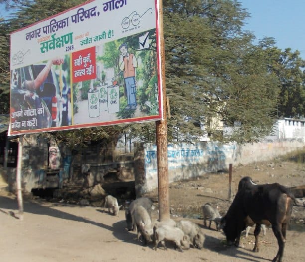 आवारा पशुओं के विचरण से दुर्घटनाएं बढ़ीं