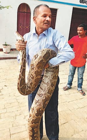 Phaphamau and Allapur ran into dragon, people rushed