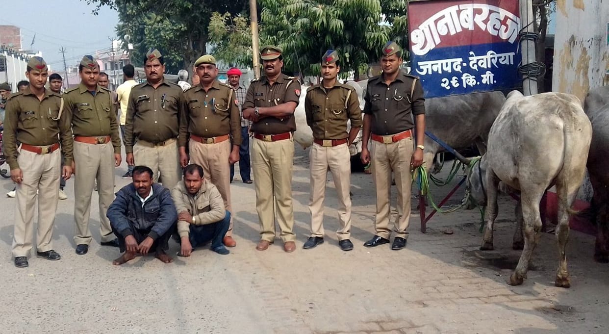 18 पशु बरामद दो तस्कर गिरफ्तार