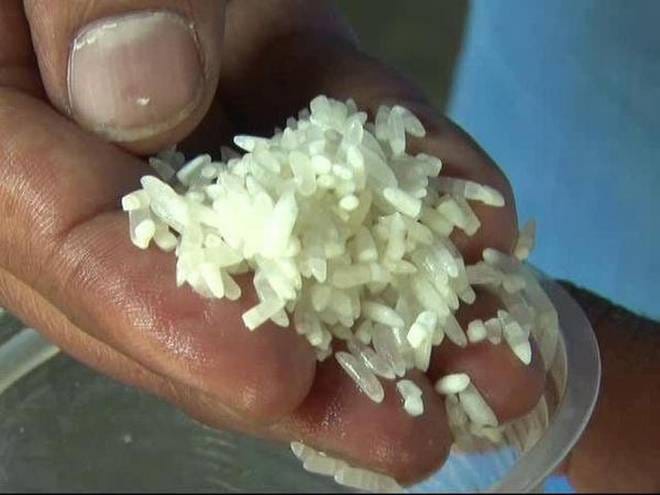 TESTS HAVE SHOWN 'FAKE RICE' IS NOT PLASTIC