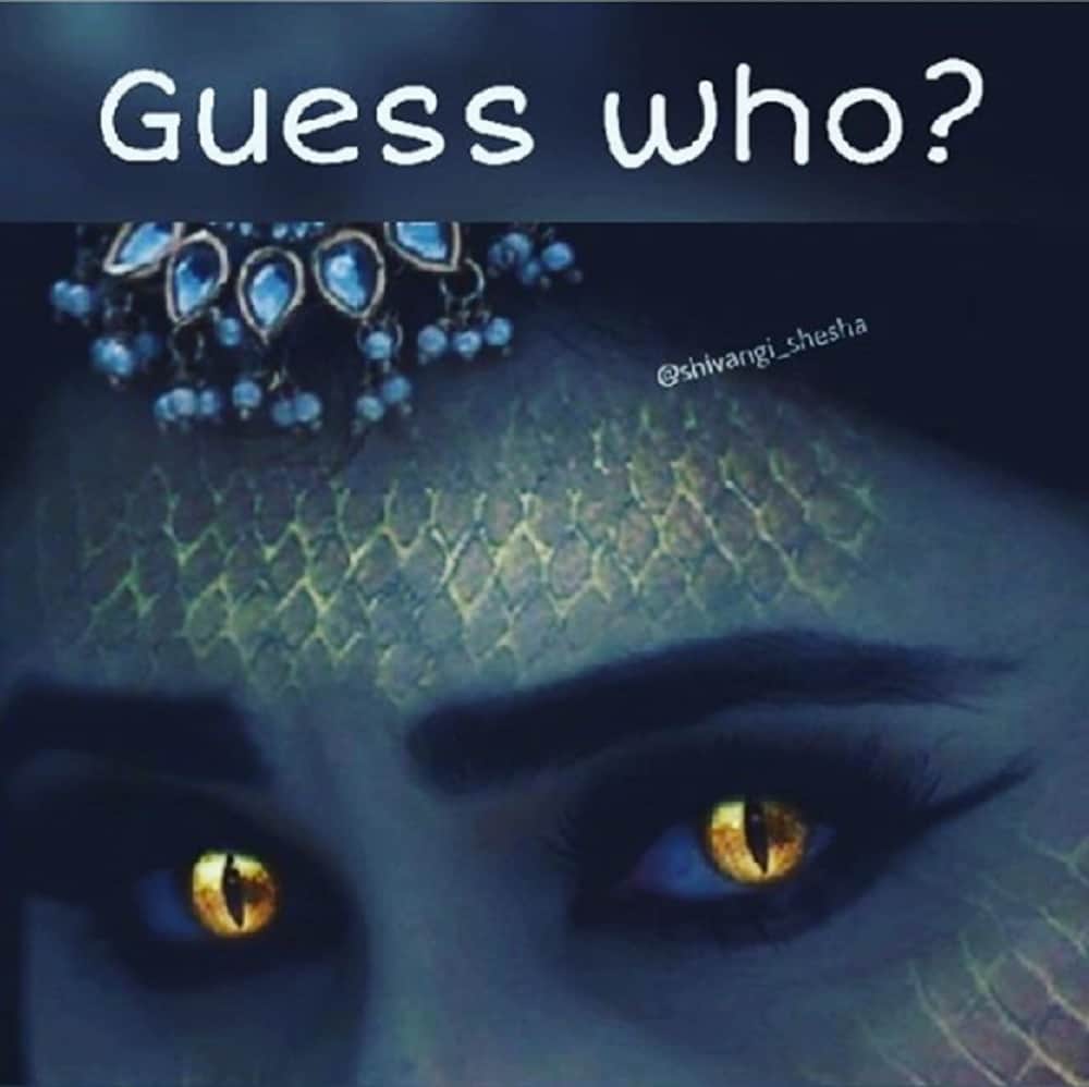 Surbhi Jyoti and Anita Hassanandani to play naagin role in Naagin 3