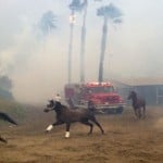 California wildfire 