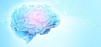 forensic science directorate will conduct brain mapping narco test