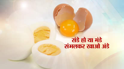 HOW TO IDENTIFY BETWEEN ARTIFICIAL EGG AND REAL EGG