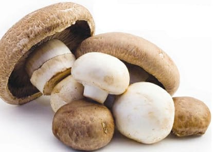 Know the magical health benefits of eating Mushroom 