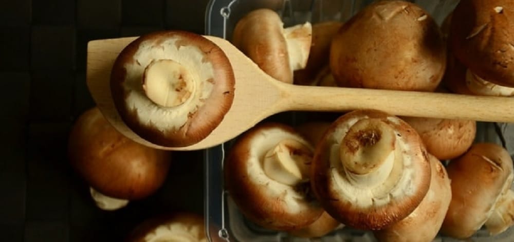 easy mushroom cutlet recipe to make at home in no time