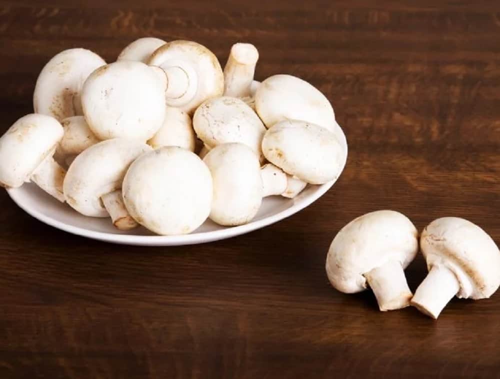 Mushroom Health Benefits for Your Skin, Brain, and Bones