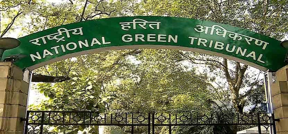 jharkhand government failed  to stop environmental lawlessness in rajmahal hills ngt
