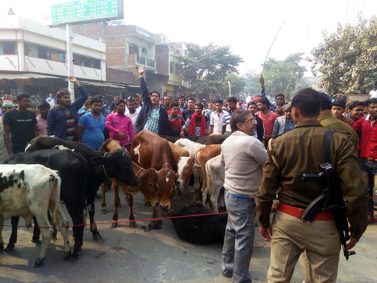 छुट्टा पशुओं को लेकर सड़क पर उतरे किसान