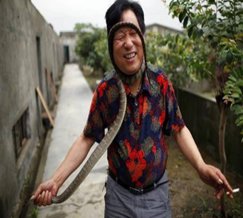 sanke farming in china