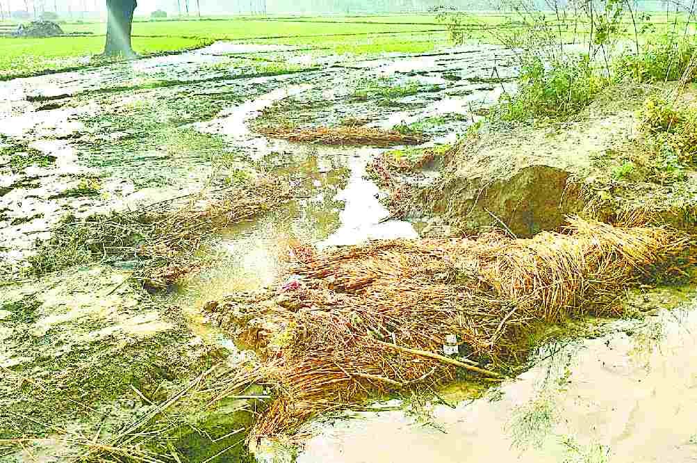 Minor track cut, 50 bigha crop steep
