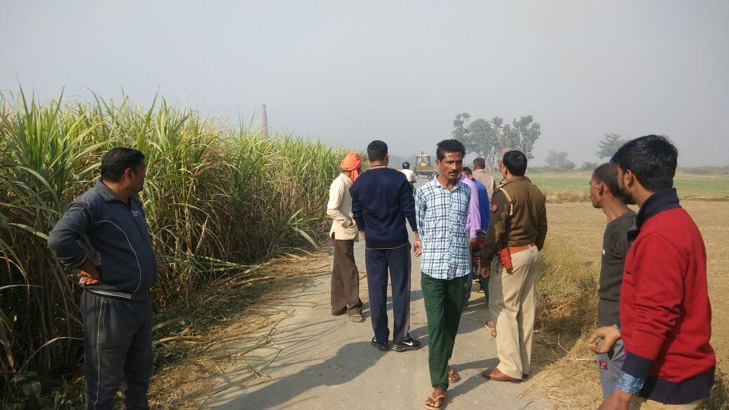 खेत में मिला पशुओं का शव, मचा हड़कंप