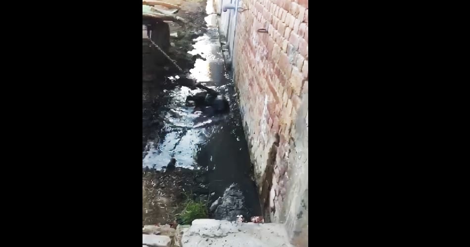 Man shoots dead his pet dog, video uploaded on social media