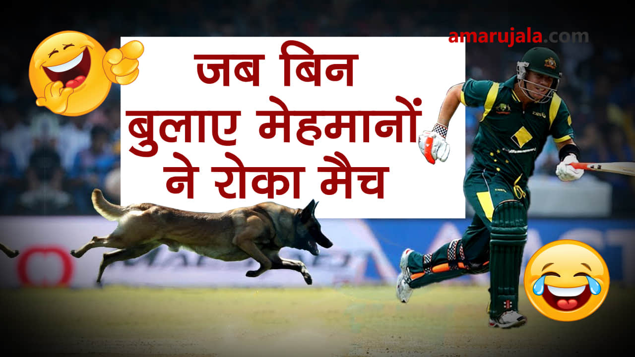 when animals on the field halted cricket match in between special story