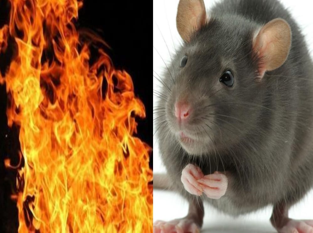 Fire in the panel by the Mouse entry
