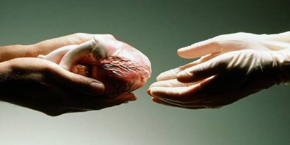Ogran Donation Day: Informations about Organ Donation