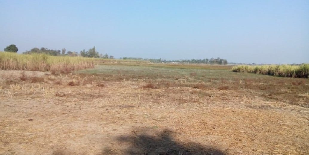 Landmass cultivating the pond