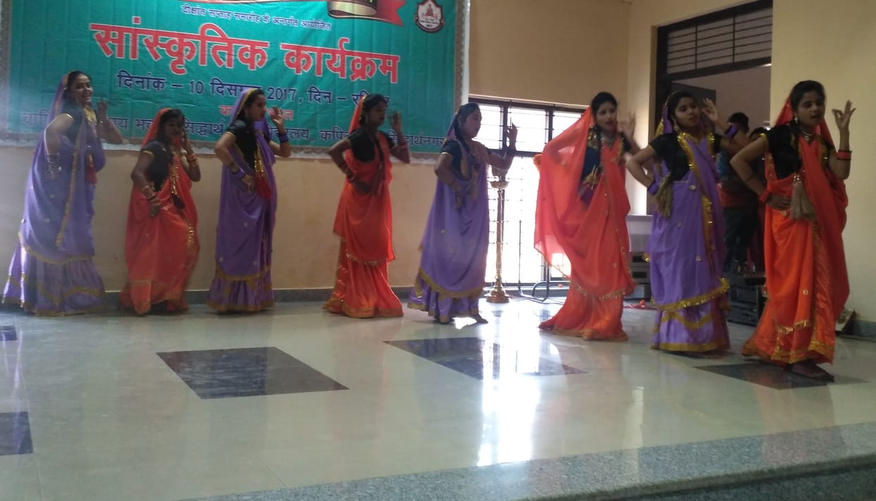 Glimpse of Indian civilization in cultural presentations