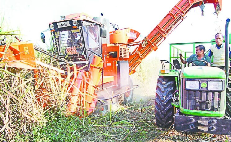 Showcasing sugar cane harvesting