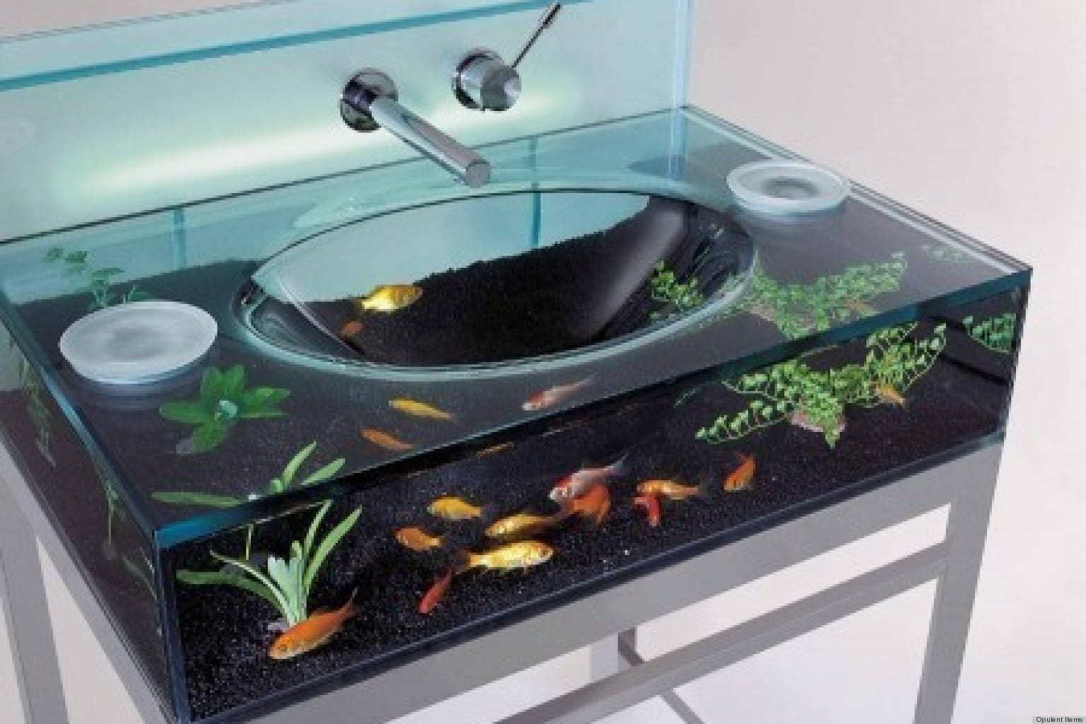 according to vastu keep fish in the house are auspicious 