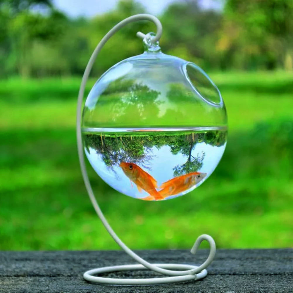 according to vastu keep fish in the house are auspicious 