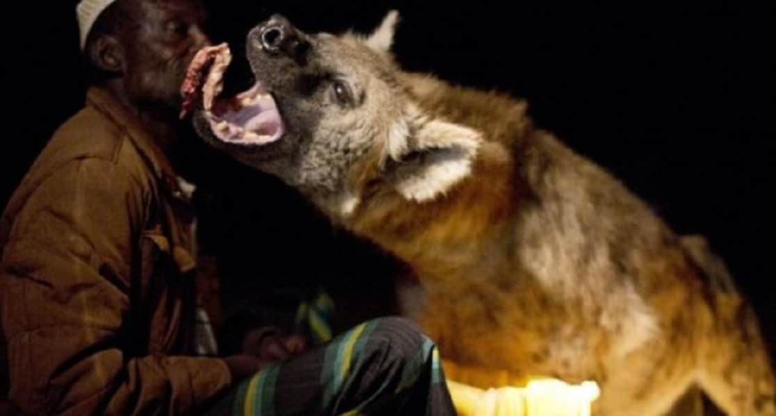 mother fight with Hyena to save her daughter