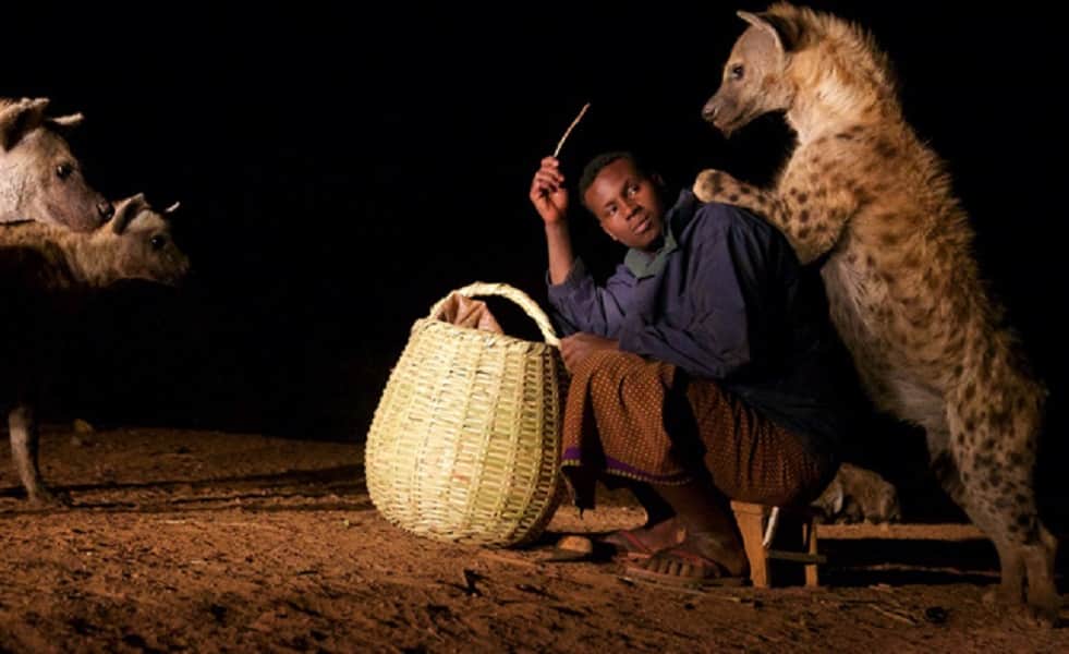 Hyena is become the best friend of this man who lived in Harar